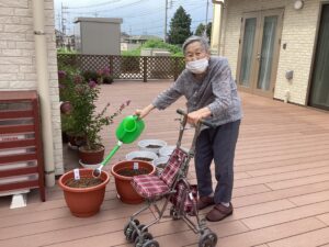 家庭菜園始めました♪